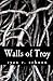 Walls of Troy