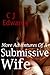 More Adventures Of A Submissive Wife (Suzi's Journey Book 3)