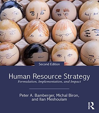 Human Resource Strategy: Formulation, Implementation, and Impact (Kindle Edition)