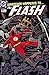 The Flash (1987-2009) #202