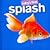 Splash (Baby's First)