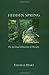 Hidden Spring: The Spiritual Dimension Of Therapy