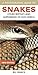 Photographic Guide to Snakes, Other Reptiles and Amphibians o... by Bill Branch