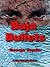Baja Bullets (Ray Rumble, #4)