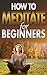 How To Meditate For Beginners: Meditation For Busy People & Weight Loss Guide, Practice Techniques & Tricks, Equipment, Diet Basics, Transformation & Visualization Happiness Handbook Book