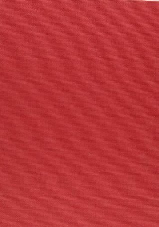 CONFLICT OF LOYALTIES : POLITICS AND RELIGION IN THE CAREER OF GASPARD DE COLIGNY, ADMIRAL OF FRANCE (Hardcover)