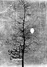 طاقت بیار رفیق by سید مهدی موسوی میرکلایی