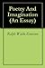 Poetry And Imagination (An Essay)