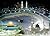 NO GOD BUT GOD, THE KORAN F...
