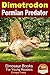 Dimetrodon - Permian Predator