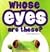 Whose eyes are these? A Lift-A-Flap Book