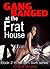 Gang Banged at the Frat House (Dim Sum Book 2)