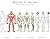 Masters of Anatomy by Adam Hughes