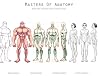 Masters of Anatomy