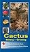 Cactus - Botany and Growing