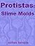 Protistas: Slime molds (phyla Book 10)