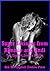 Super Sexiness from Kimmie and Andi: Ten Explicit Erotica Stories