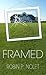 Framed (Kay Conroy Mystery Series Book 1)