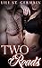 Two Roads (Gypsy Brothers, #6)