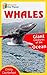 Whales: Fun Facts & Photos ...
