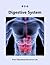 Digestive System