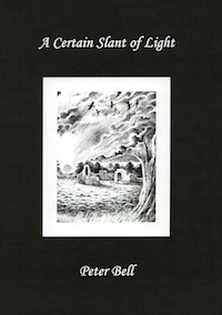 A Certain Slant of Light (Hardcover)