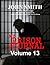 My Prison Journal - Volume 13