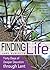 Finding Life: From Eden to Gethsemane - the Garden Restored
