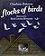 Flocks of Birds