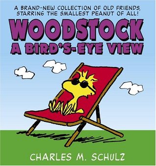 Woodstock A Bird's-Eye View (Paperback)