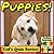 Puppies! Children's Quiz Bo...