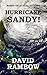 HURRICANE SANDY!: Based On Actual Stories