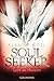 Licht am Horizont (Soul Seeker #4)