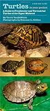 Turtles in Your Pocket: A Guide to Freshwater and Terrestrial Turtles of the Upper Midwest (Bur Oak Guide)