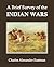 A Brief Survey of the Indian Wars