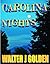 Carolina Nights (Malfore County Book 1)