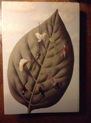 Les enchanteurs du pays fictionnel