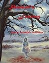 Shannon's Journey (Maggie Chronicles Book 1) Shannon's Journey (Maggie Chronicles Book 1)