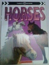 Horses (Twenty4Sevens)