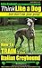 Italian Greyhound, Italian Greyhound Training AAA AKC: | Think Like Me ~ But Don’t Eat Your Poop! | Italian Greyhound Breed Expert Training |: Here's EXACTLY How To Train Your Italian Greyhound
