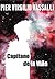 Capitano de la Viña by Pier Virgilio Vassalli Capitano de la Viña by Pier Virgilio Vassalli