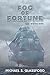 Fog of Fortune (The Silversword Chronicles 1)