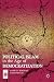 Political Islam in the Age of Democratization by Kamran Bokhari