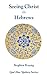 Seeing Christ in Hebrews: S...