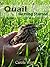 Quail by Carole West