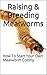 Raising & Breeding Mealworm...