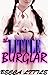 The Little Burglar