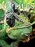 Reptiles