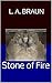 Stone of Fire (Bestsellers: Grand Plan Adventures Book 1)