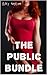 The Public Bundle (Exhibiti...